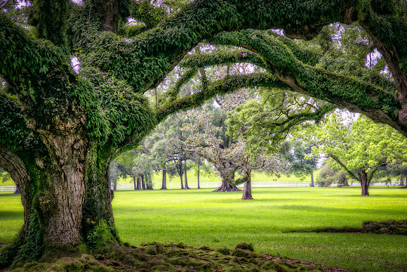 Oak Alley Plantation, LA