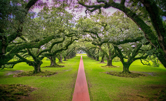 Oak Alley Plantation, LA