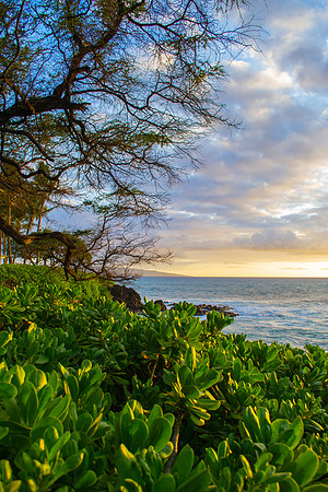 Maui
