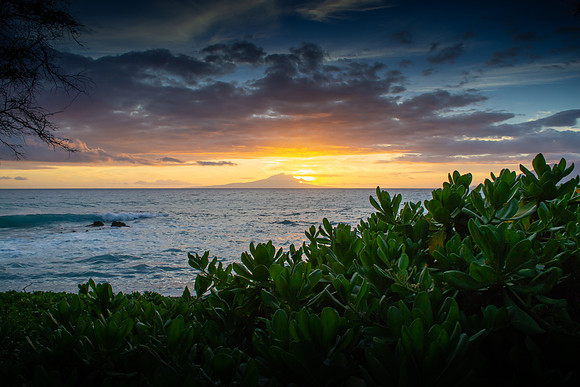 Maui