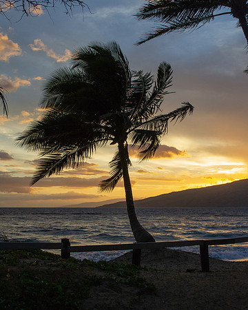Maui