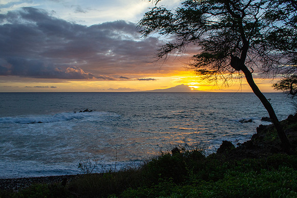 Maui